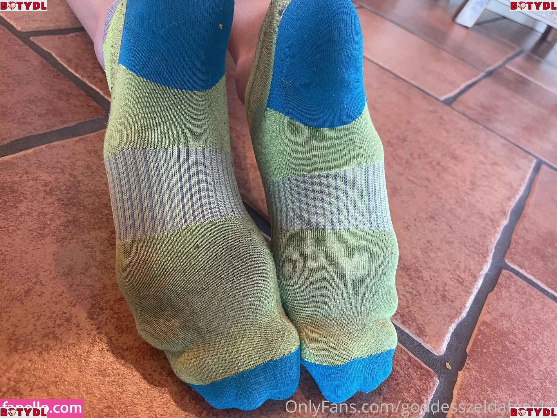 goddesszeldafeet11 Onlyfans Photo Gallery 