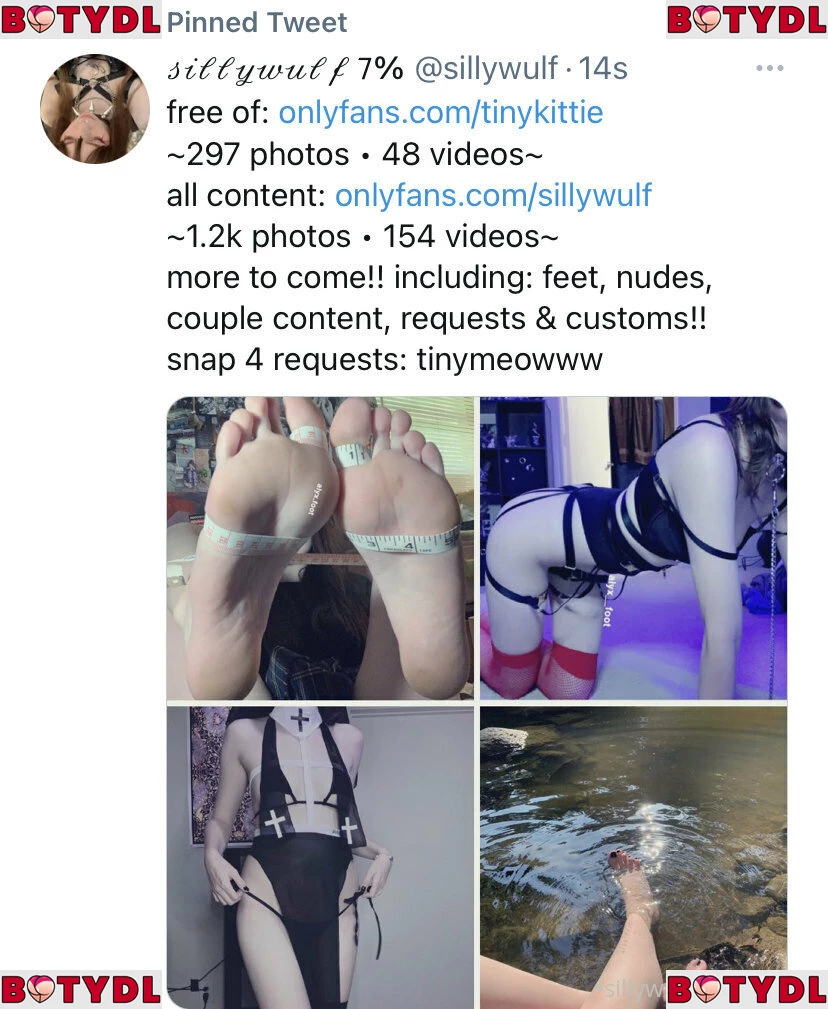 tinykittie Onlyfans Photo Gallery 