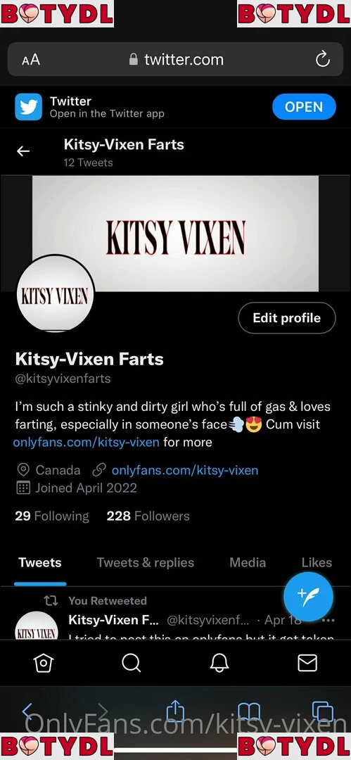 kitsy-vixen Onlyfans Photo Gallery 