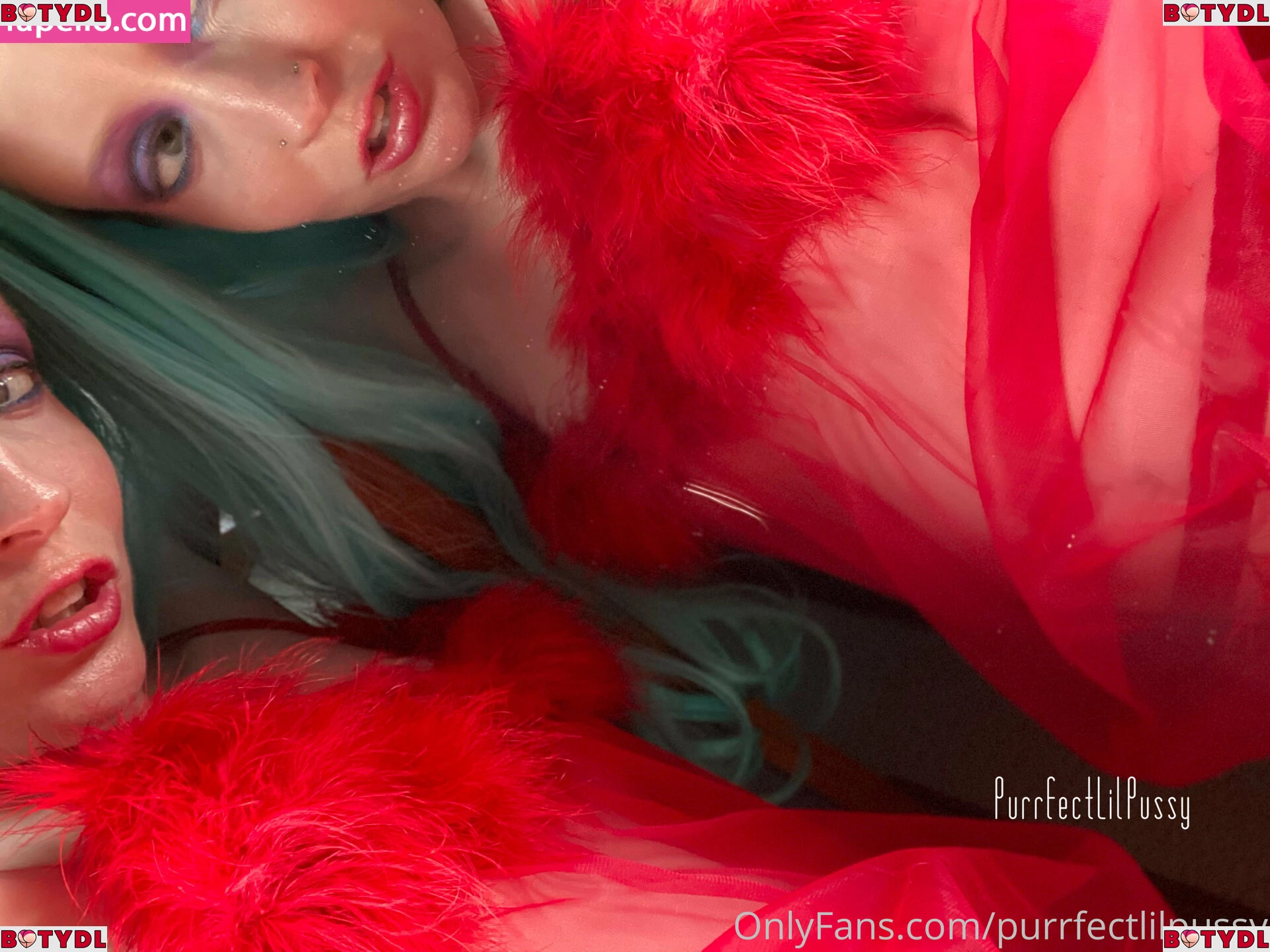 purrfectlilpussy Onlyfans Photo Gallery 