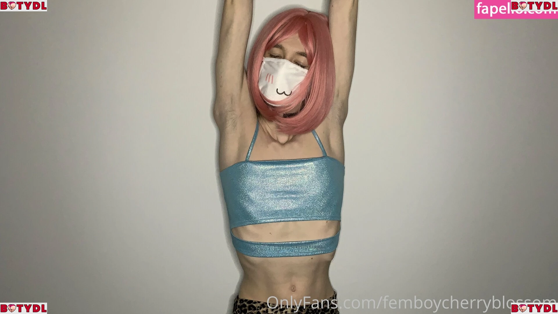 femboycherryblossom Onlyfans Photo Gallery 