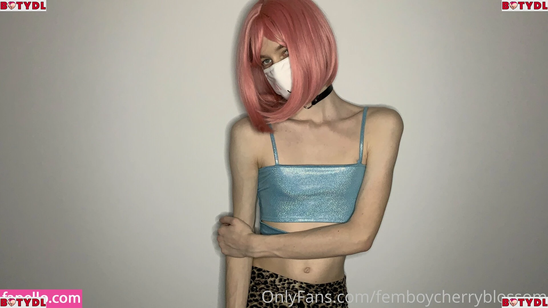 femboycherryblossom Onlyfans Photo Gallery 