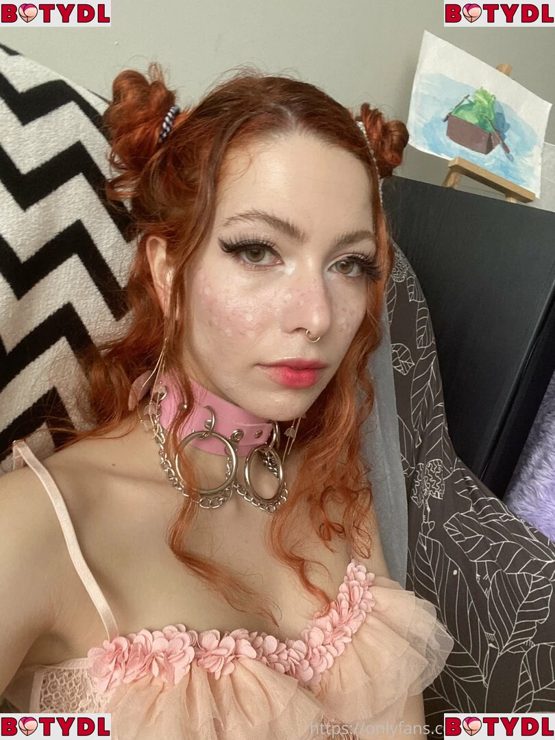 comfykitty Onlyfans Photo Gallery 