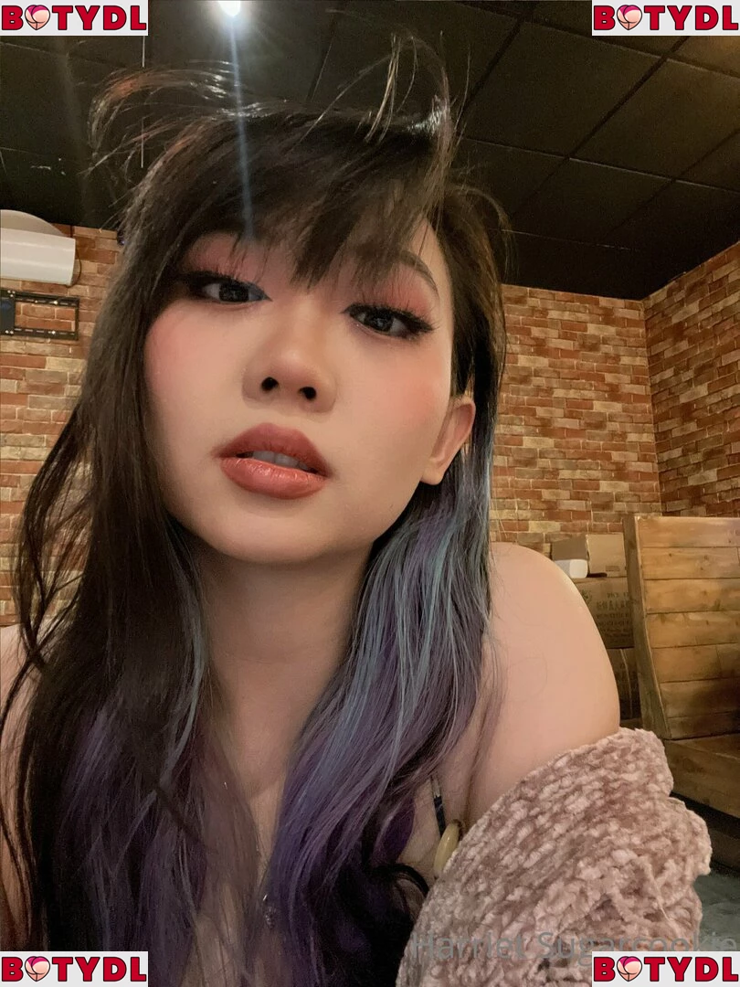 Harriet Sugarcookie Onlyfans Photo Gallery 