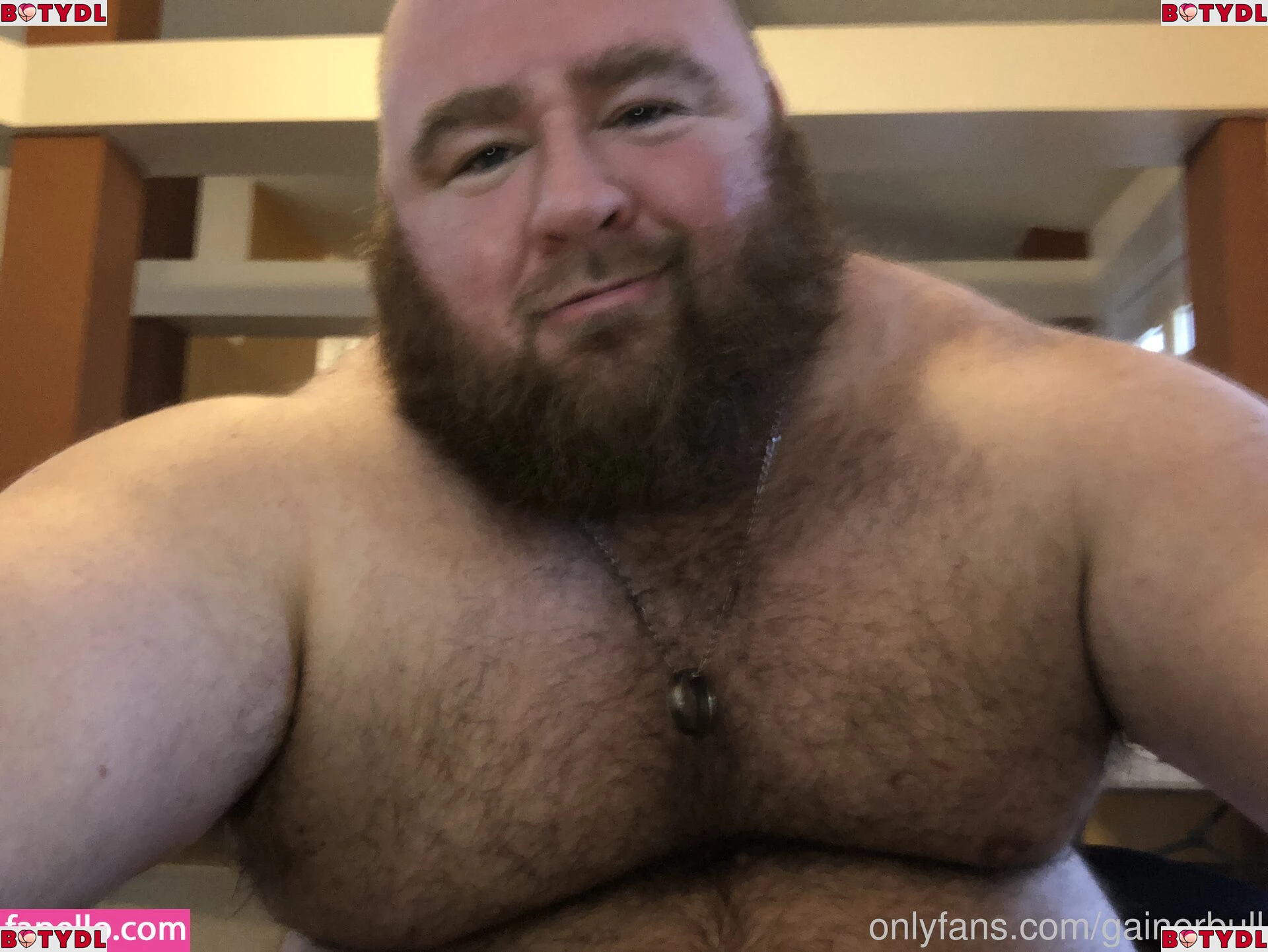 gainerbull Onlyfans Photo Gallery 