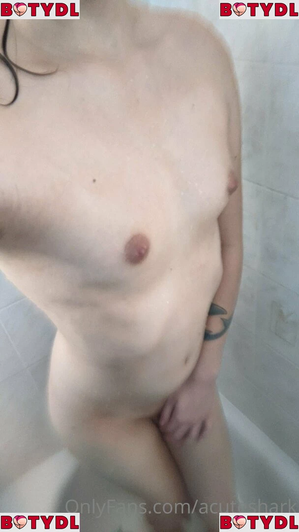 acuteshark Onlyfans Photo Gallery 