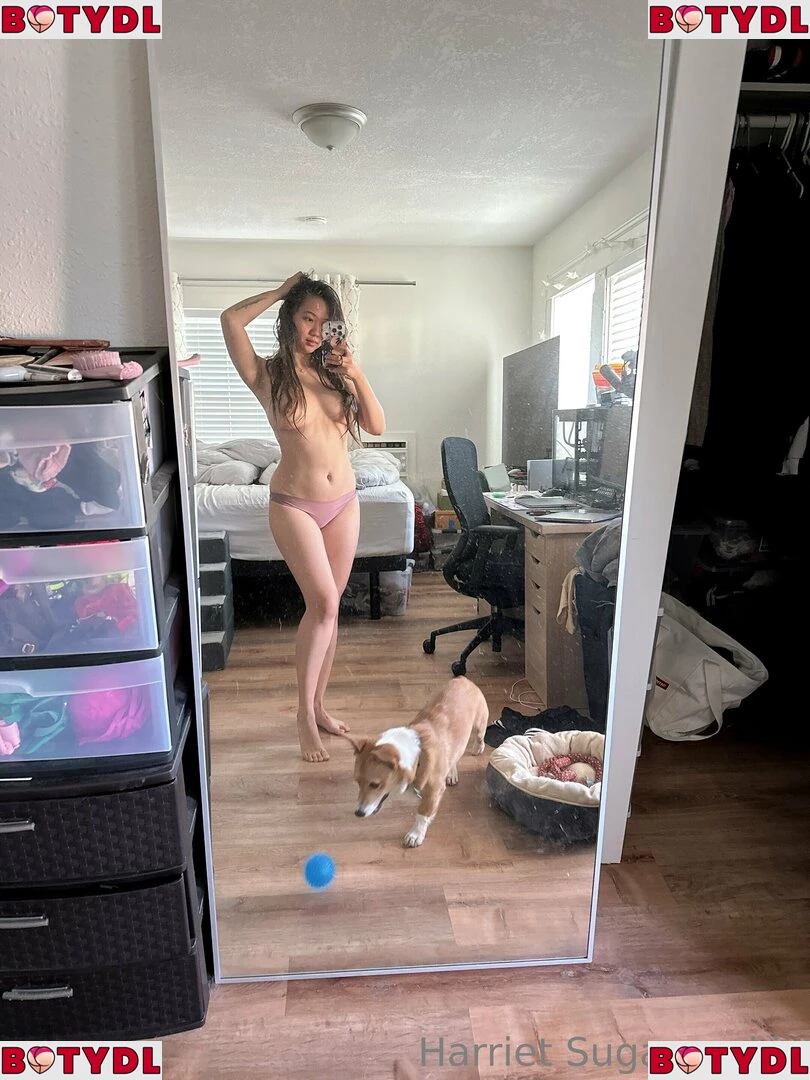 harrietsugarcookie Onlyfans Photo Gallery 